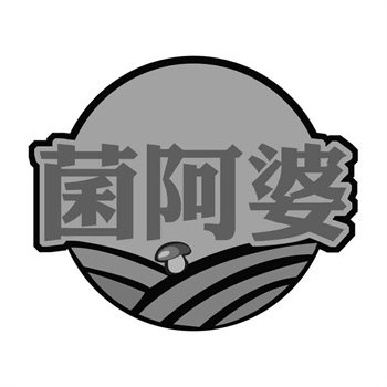 商標廣告市場的前景展望是什么? 商標廣告市場的前景展望是什么?